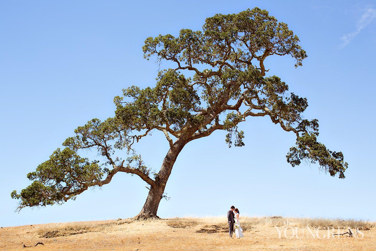 Santa Margarita Ranch Wedding, Photography by The Youngrens santa margarita ranch wedding, san luis obispo wedding, central coast wedding, ranch wedding, rustic wedding, barn wedding, central california wedding, santa margarita wedding, barn reception, field wedding images, oak trees wedding images